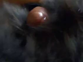 Kachek fucked beautiful blonde in the street