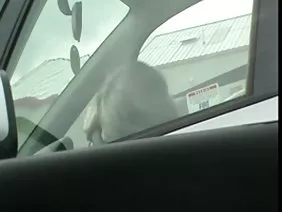 Black woman rides on the white member of a young guy