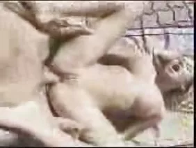 Hot pepper fucked the anus of trouble-free sluts